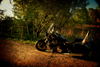 Triumph Thunderbird Storm